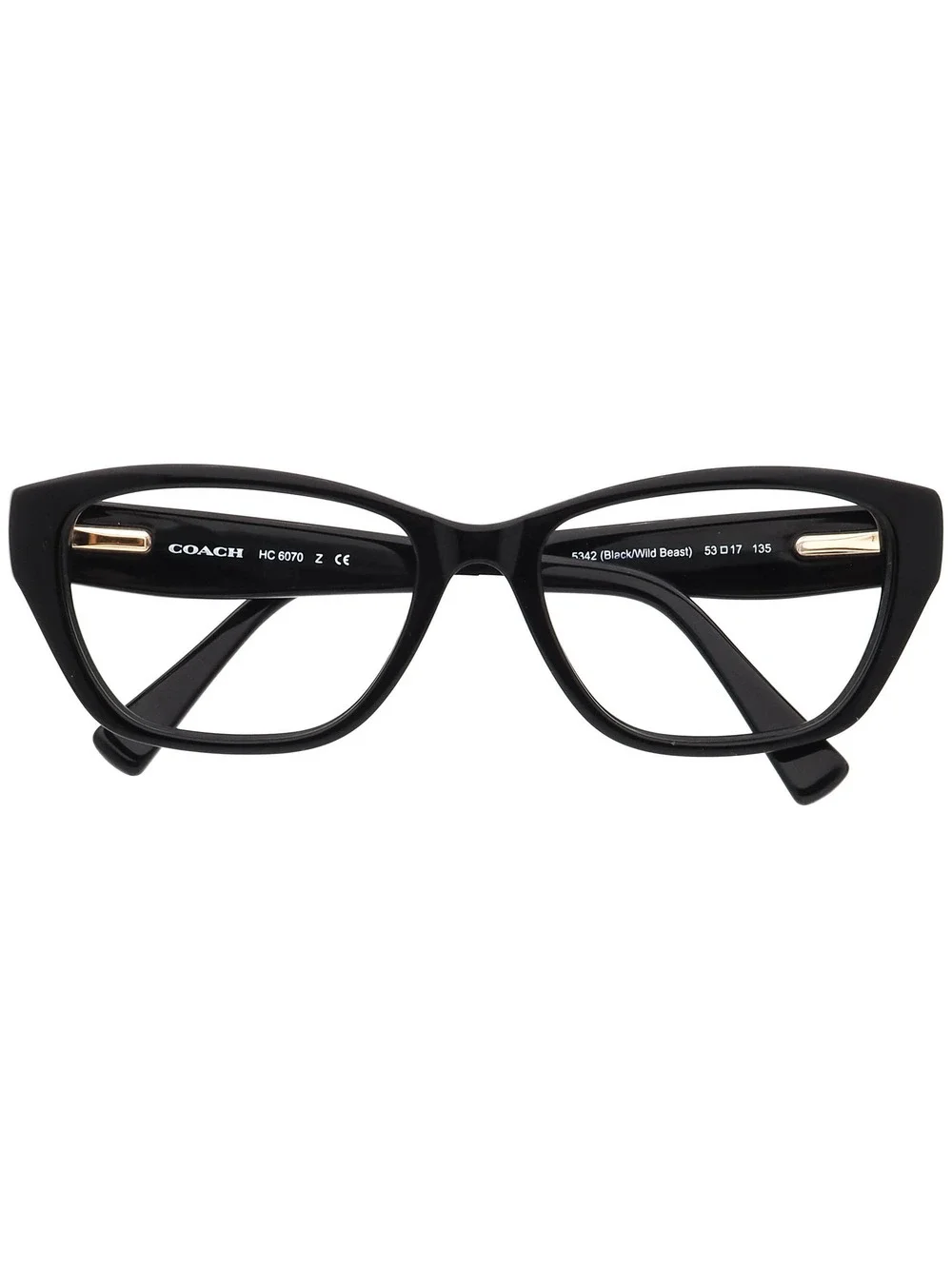Coach HC 6070 5342 Eyewear